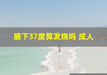 腋下37度算发烧吗 成人